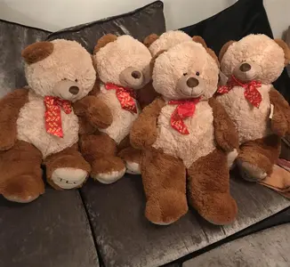 TEDDY BEARS MAKE HOSPITAL VISITS MORE BEARABLE FOR CHILDREN